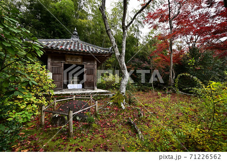 直指庵の紅葉 直指庵の紅葉 71226562
