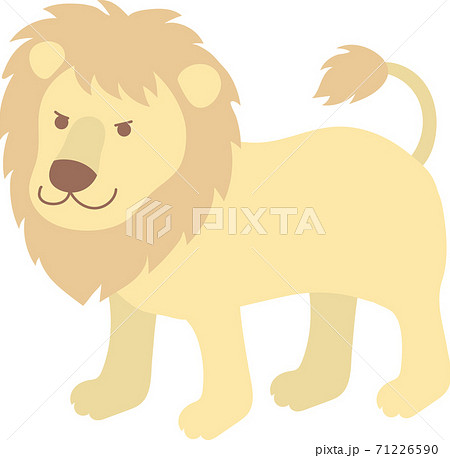 ライオン 71226590