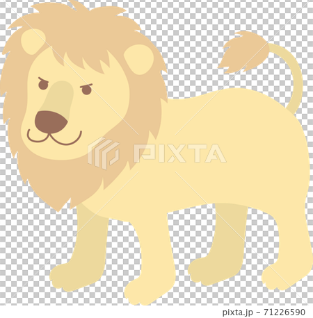 ライオン 71226590