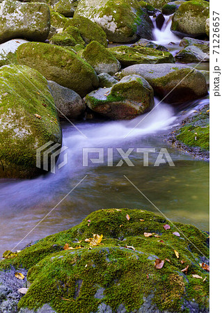 木谷峡　清流の風景 71226657