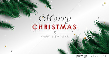 Merry Christmas banner 71229234