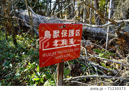 鳥獣保護区・北海道の写真素材 [71230373] - PIXTA