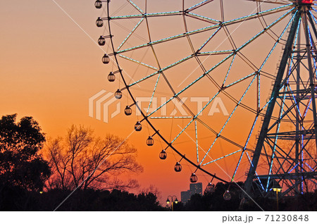 公園の風景　大観覧車のライトアップ夕景　　東京都葛西臨海公園 71230848