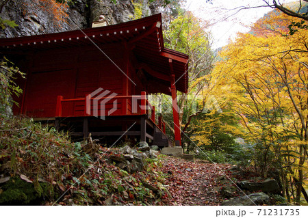 紅葉が美しい栃木県佐野市蓬莱山の風景の写真素材