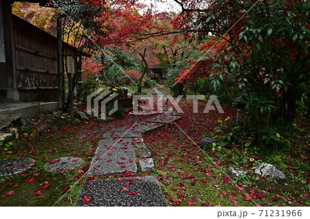 直指庵の紅葉 直指庵の紅葉 71231966
