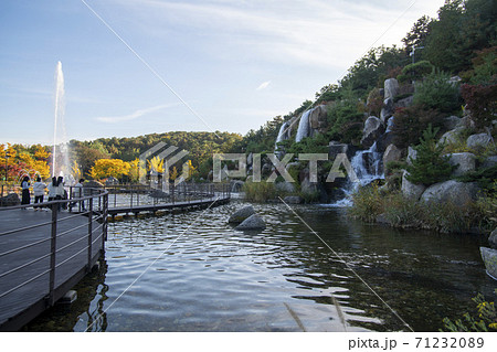 安山市 秋 紅葉 71232089