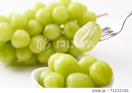 贈呈用のシャインマスカット 贈呈用のシャインマスカット 71232183