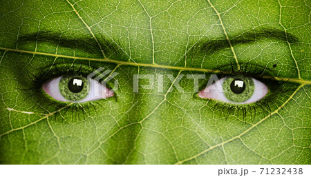 Leaf texture on human face. Ecology concept. Leaf texture on human face. Ecology concept. 71232438