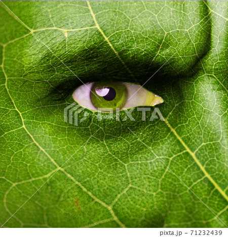 Leaf texture on human face. Ecology concept. Leaf texture on human face. Ecology concept. 71232439