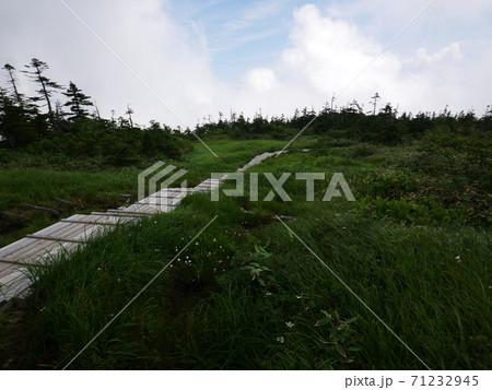 新潟県湯沢町の苗場山 秡川コースの上ノ芝から下り方向の登山道を見る 新潟県湯沢町の苗場山 秡川コースの上ノ芝から下り方向の登山道を見る 71232945