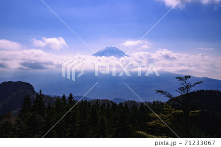(山梨県)節刀ヶ岳頂上から望む富士山 (山梨県)節刀ヶ岳頂上から望む富士山 71233067