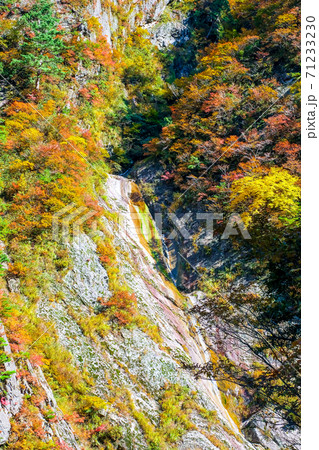 紅葉と岩肌（縦） 71233230