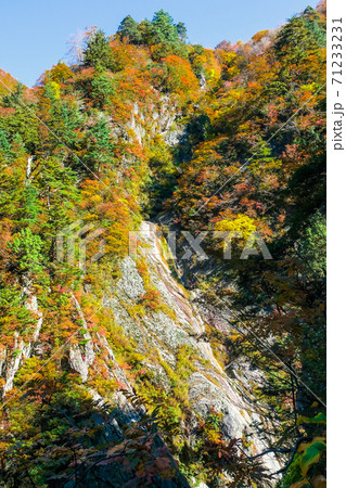 紅葉と岩肌(縦) 紅葉と岩肌(縦) 71233231