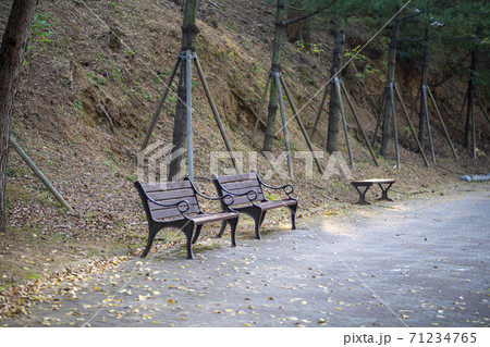 安山市 秋 椅子 71234765