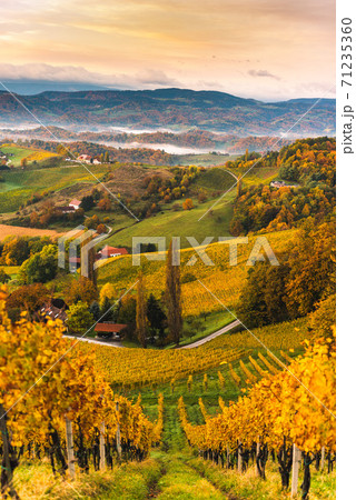 South styria vineyards landscape, Tuscany of Austria. Sunrise in autumn. 71235360