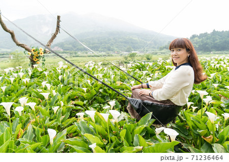 A woman in a field of calla lilies in Taiwan, Asia. 71236464