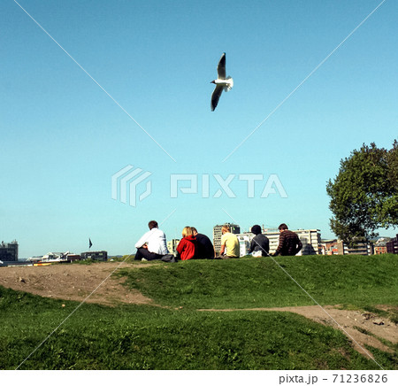 People having a picnic at park People having a picnic at park 71236826