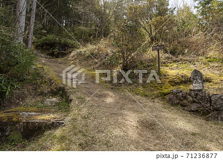 熊野古道小辺路　高野山から熊野本宮大社への道　世界遺産の村　果無集落　 71236877
