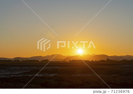 風景 空 日の出 71236976
