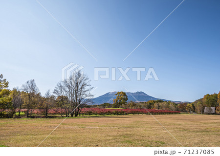 長野県 開田高原 御嶽山 木曽馬の里 長野県 開田高原 御嶽山 木曽馬の里 71237085