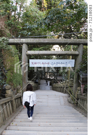 金比羅山 参拝道 71238083