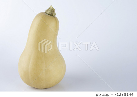 Yellow colored pumpkins on a white background 71238144