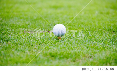 グリーンの芝の上にティーショットでセットされたゴルフボール	 71238160
