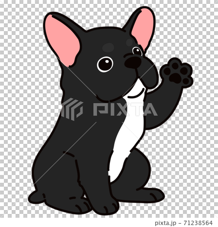 Simple and cute brindle (black) French bulldog illustration with main line Simple and cute brindle (black) French bulldog illustration with main line 71238564
