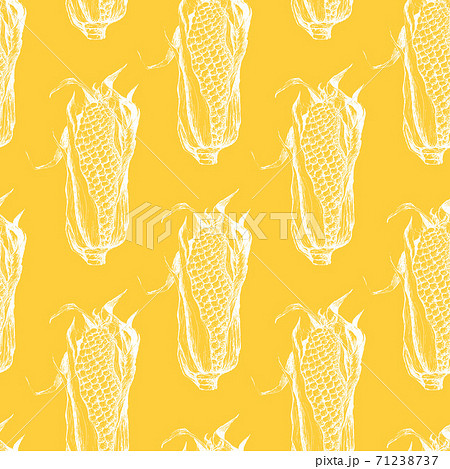 Seamless pattern with sweet corn background 71238737