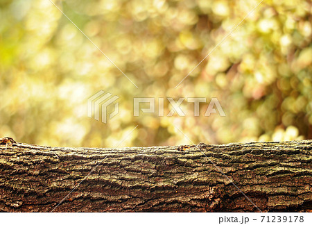Nature background Nature background 71239178