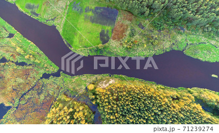 Aerial wiev of natural river 71239274