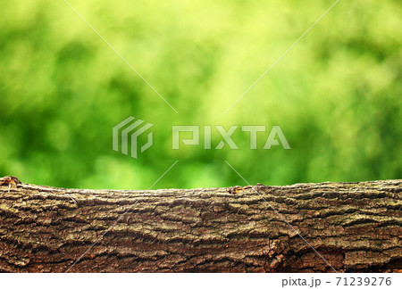 Nature background Nature background 71239276