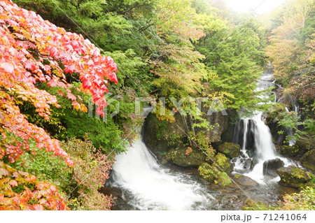 奥日光 竜頭の滝の紅葉 71241064