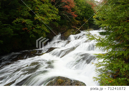 奥日光 竜頭の滝の紅葉 71241072