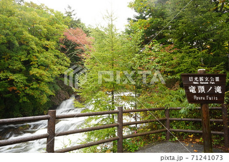 奥日光 竜頭の滝の紅葉 71241073