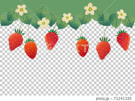 Strawberry fruit decoration illustration 71241185