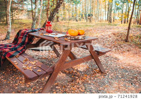 Orange pumpkin and leaves near laptop computer on a table. Autumn season time 71241928