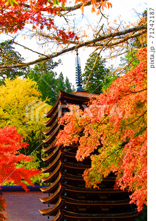 奈良県桜井市の談山神社の秋景色、神社、秋、奈良県【11月】 71242187