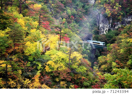 紅葉の鳴子峡 紅葉の鳴子峡 71243394