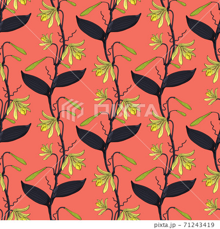 Floral seamless pattern with hand drawn vannilla orchid flowers on pink background. Stock vector 71243419