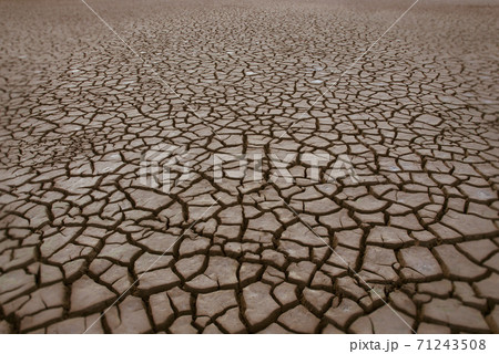 Dry soil Dry soil 71243508