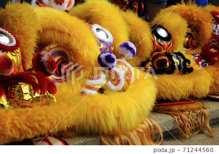 SEREMBAN, MALAYSIA -FEBRUARY 2, 2017: Chinese lion mask or lion head used to performed lion dance during Chinese New Year Festival at Seremban, Malaysia. Beautiful & colourful. SEREMBAN, MALAYSIA -FEBRUARY 2, 2017: Chinese lion mask or lion head used to performed lion dance during Chinese New Year Festival at Seremban, Malaysia. Beautiful & colourful. 71244560