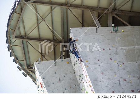 ロッククライミング 登る 人 71244571