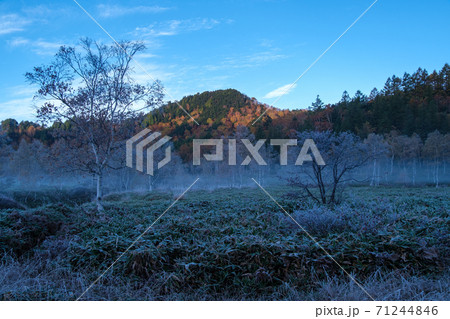 紅葉と朝霧 紅葉と朝霧 71244846
