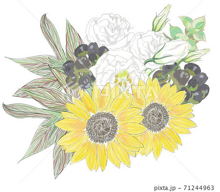 ひまわりとトルコキキョウの花束のイラスト素材