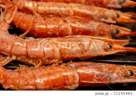 large argentinian shrimp vertical row close-up on a grill background 71245465