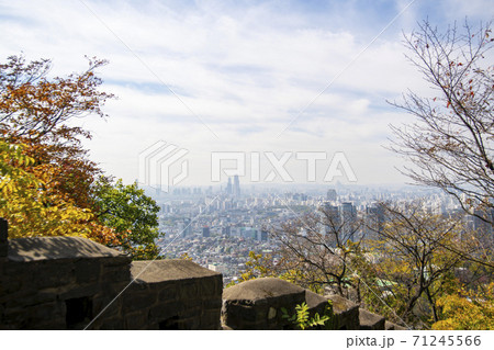 南山 ソウル 都市 71245566