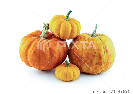 assorted orange pumpkins big and small symbol of autumn on isolated background 71245651