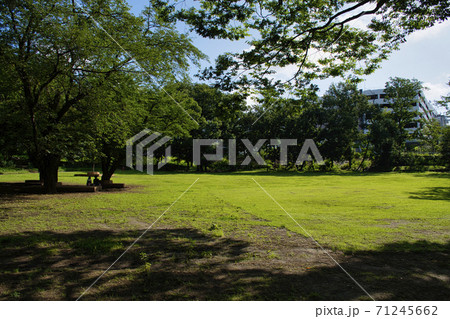 【町田市】鶴間公園の芝生広場 71245662