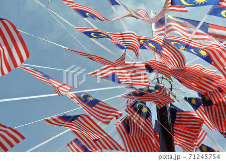 SELANGOR, MALAYSIA -AUGUST 31, 2017: Selective focused small size Malaysia flag tie in large quantities in windy air.  71245754